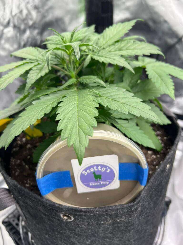 473259823 122186981882045006 2080392851055220703 N