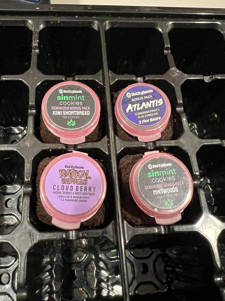 473698020 122187567908045006 2454528010420342257 N