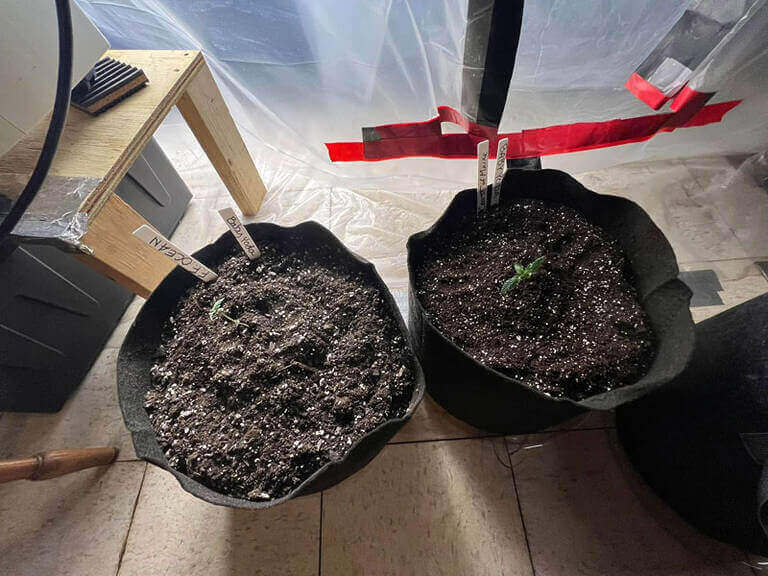 474167951 122188003376045006 8218524642563813296 N