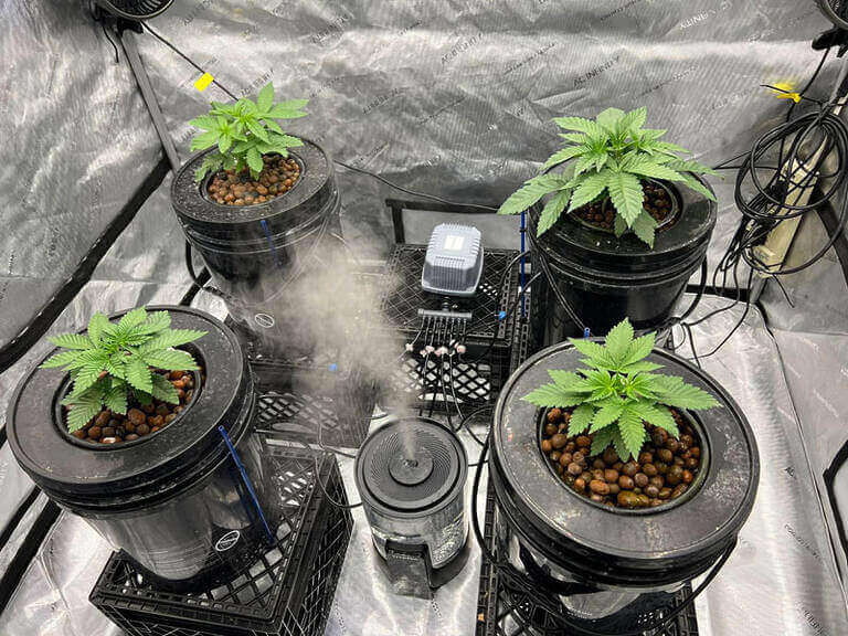 474461237 122187706868045006 4735435285363523725 N