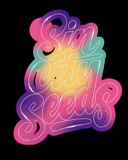 Sin City Seeds 2